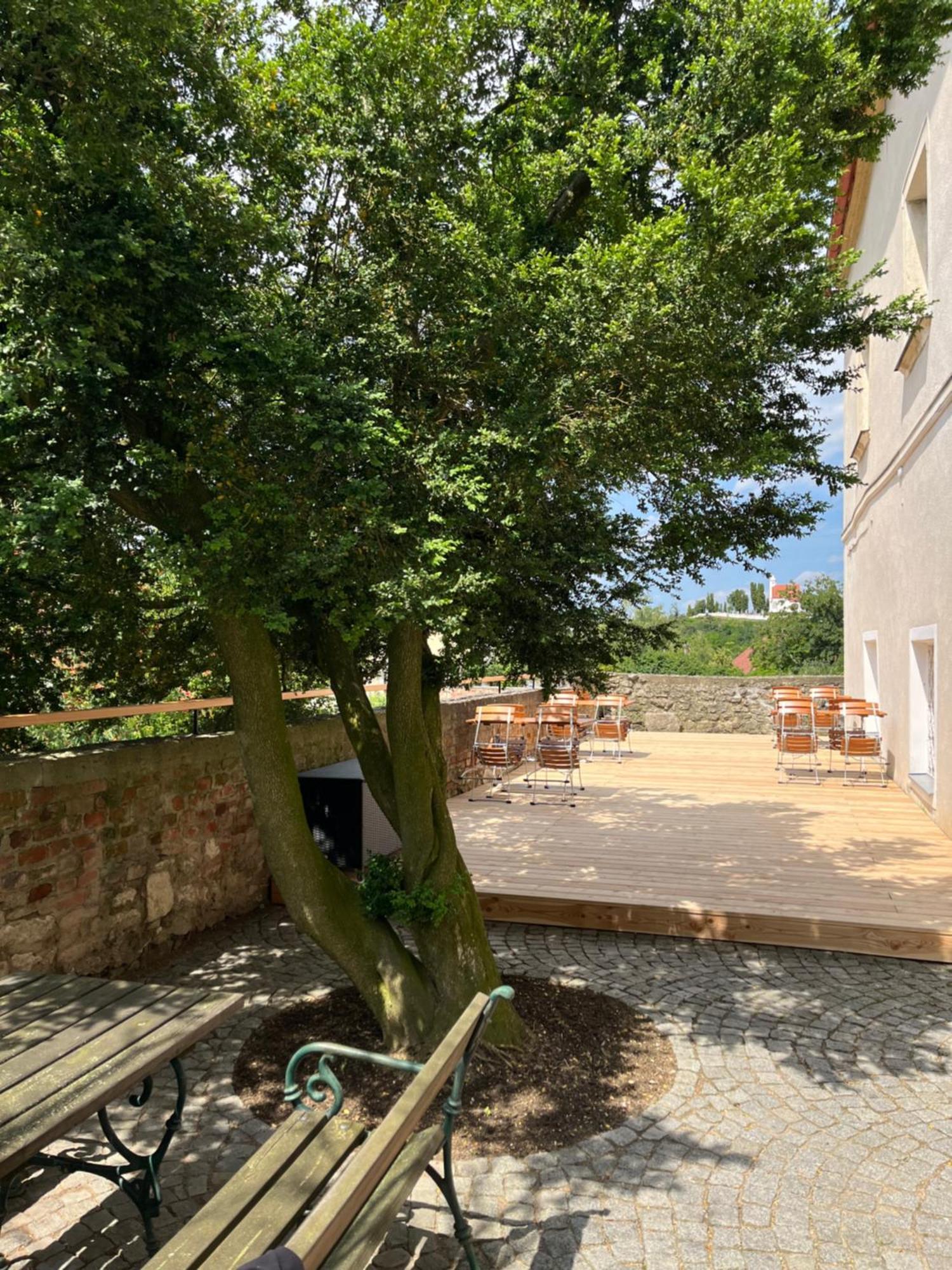 Schlosshotel Mailberg Exteriör bild
